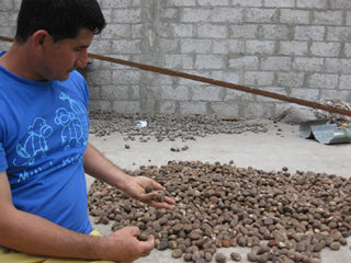 Adorno de ángel hecho a mano de vainas de semillas de eucalipto