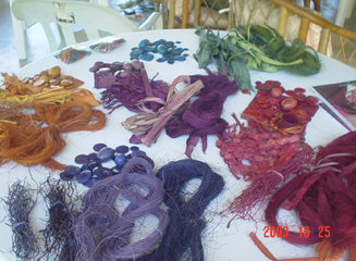 Pendientes de rebanadas multicolores de Tagua - Marfil vegetal - Perú