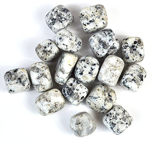 Dalmation Jasper Tumbled Stones- 1lb