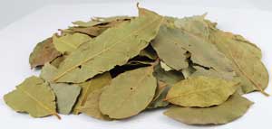Hojas enteras de laurel (Laurus Nobilis)- 2oz
