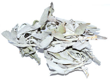 Dried White Sage-Whole Leaf- 2oz