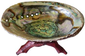 Large Abalone Shell Incense Burner with stand- 5"-6" Shell