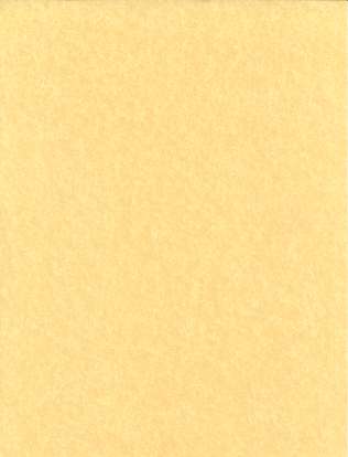 Light Parchment Paper- 25PK-(8 1/2" x 11")