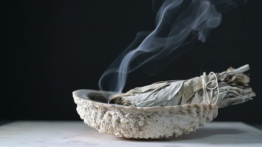 3" - 4" Abalone Shell incense burner