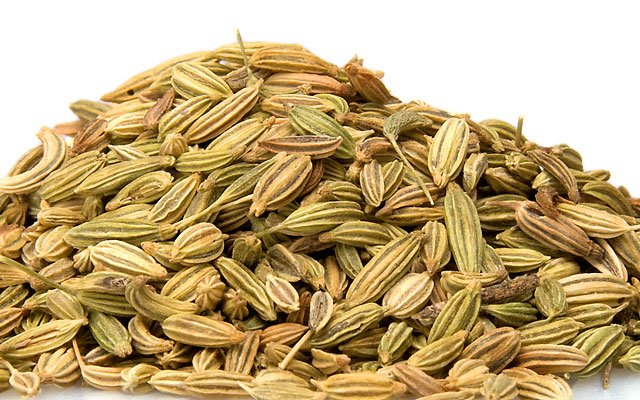 1 Lb Fennel Seed (Foeniculum vulgare)