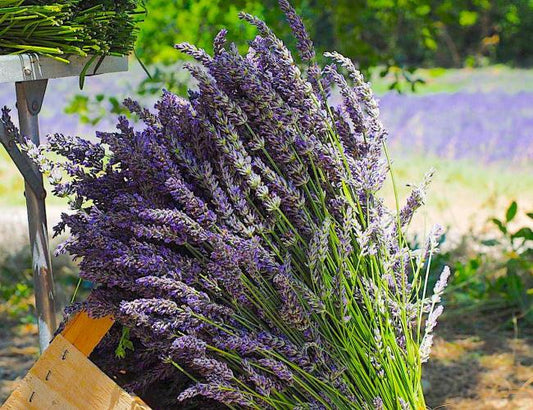 Barra para difuminar amor de 4"