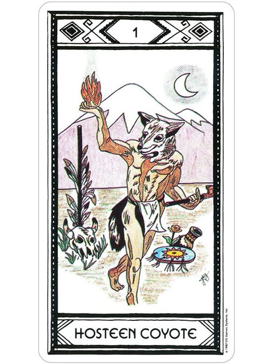 Native American Tarot Deck by Magda Weck Gonzalez