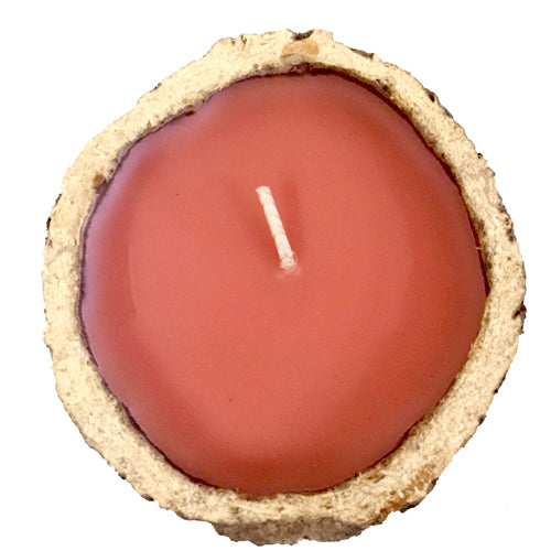 <center>Brazil Nut Pod Candle with Cinnamon Scent Crafted in Peru </br>Measures: ~ 2-1/4" to 2-3/4” high and 4” to 4-1/2” in diameter </br>