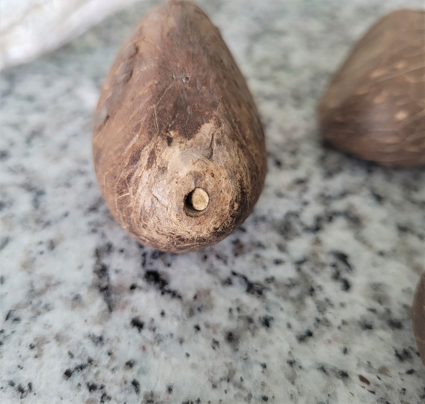 Whole Tagua Nuts for Carving-1lb.- XS/SM/M/LG/XL Sizes-Vegetable Ivory-Fair Trade
