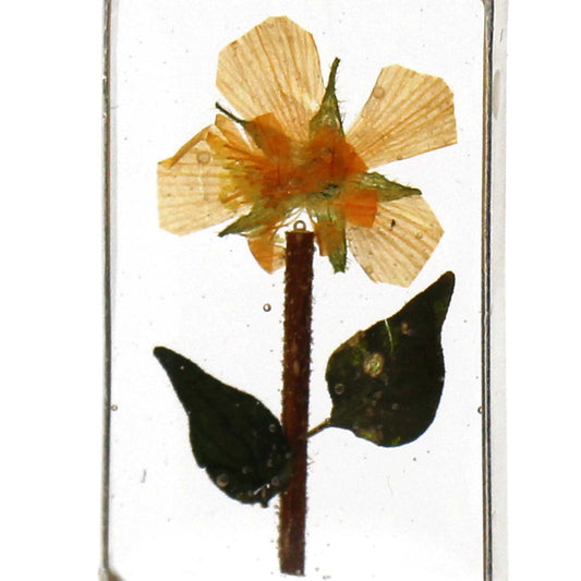 Handmade Pressed Yellow Flower Rectangle Dangle Earrings