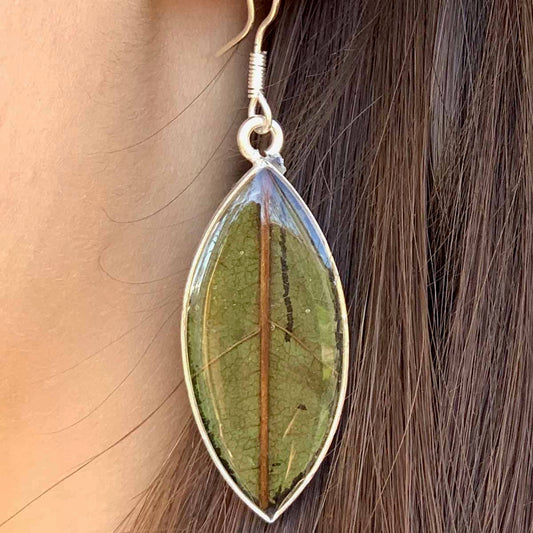 Hoja Natural en Resina -Pendientes de Plata de Alpaca- México
