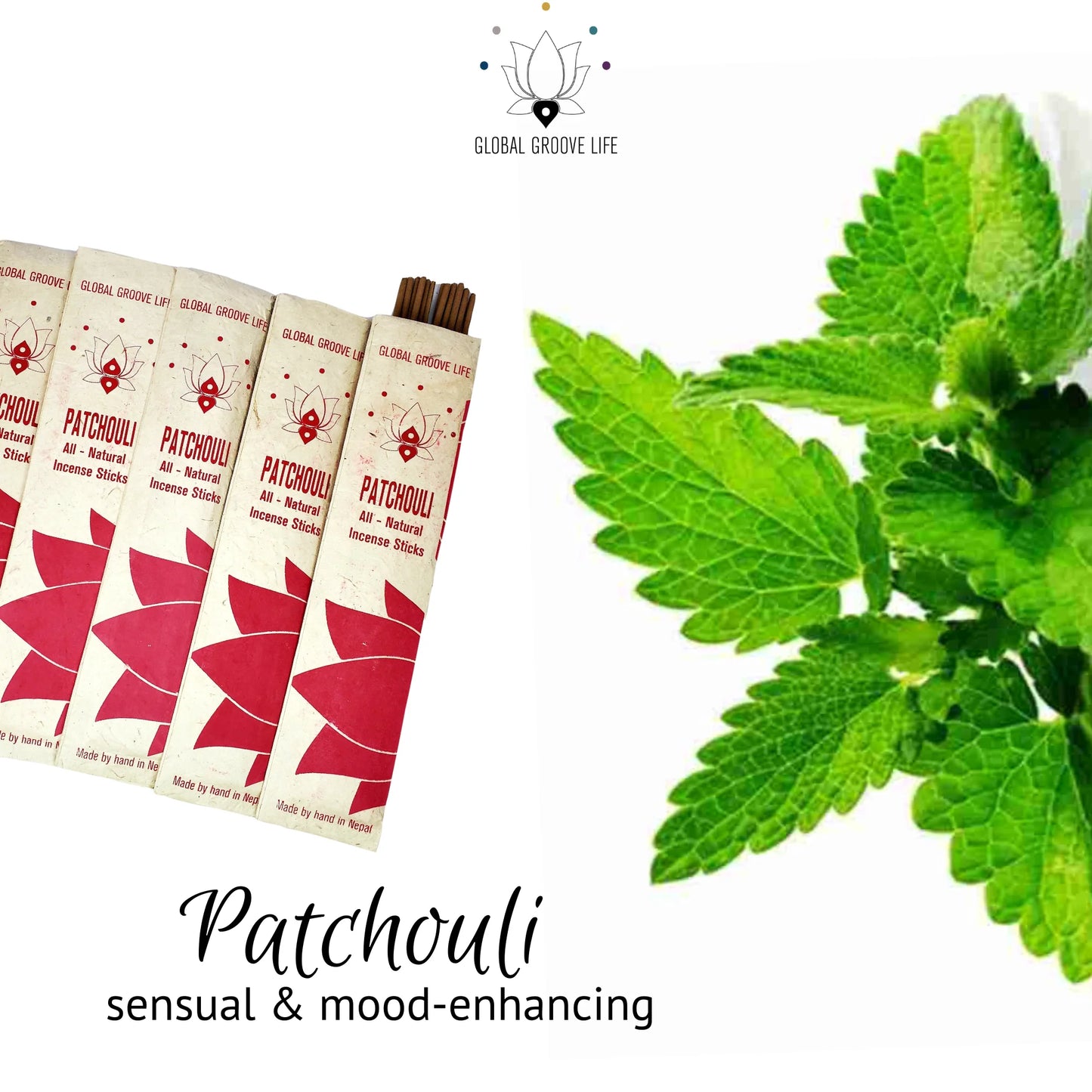 Patchouli incense sticks with green leaves on a white background
