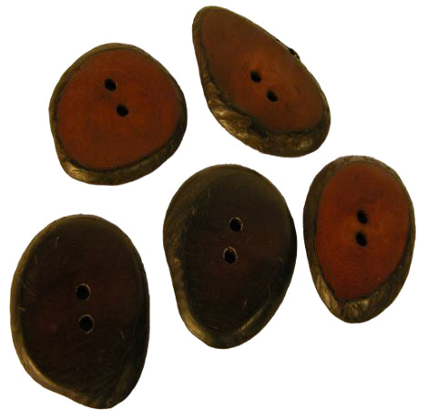 Small Hand-Dyed Tagua Nut Buttons-Vegetable Ivory- Lots of 5-10-15-20 Fair Trade-Ecuador