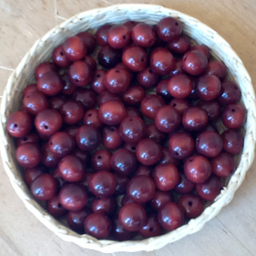 7MM Round Tagua Beads with 1.5mm Center Drilled Hole/ Fair Trade Vegetable Ivory-Ecuador
