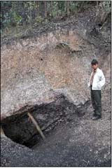 Adorno de media de carbón tallado a mano