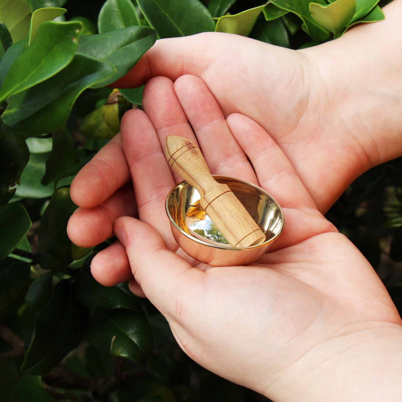 Mini cuenco de meditación en caja del árbol de la vida de papel Lotka hecha a mano