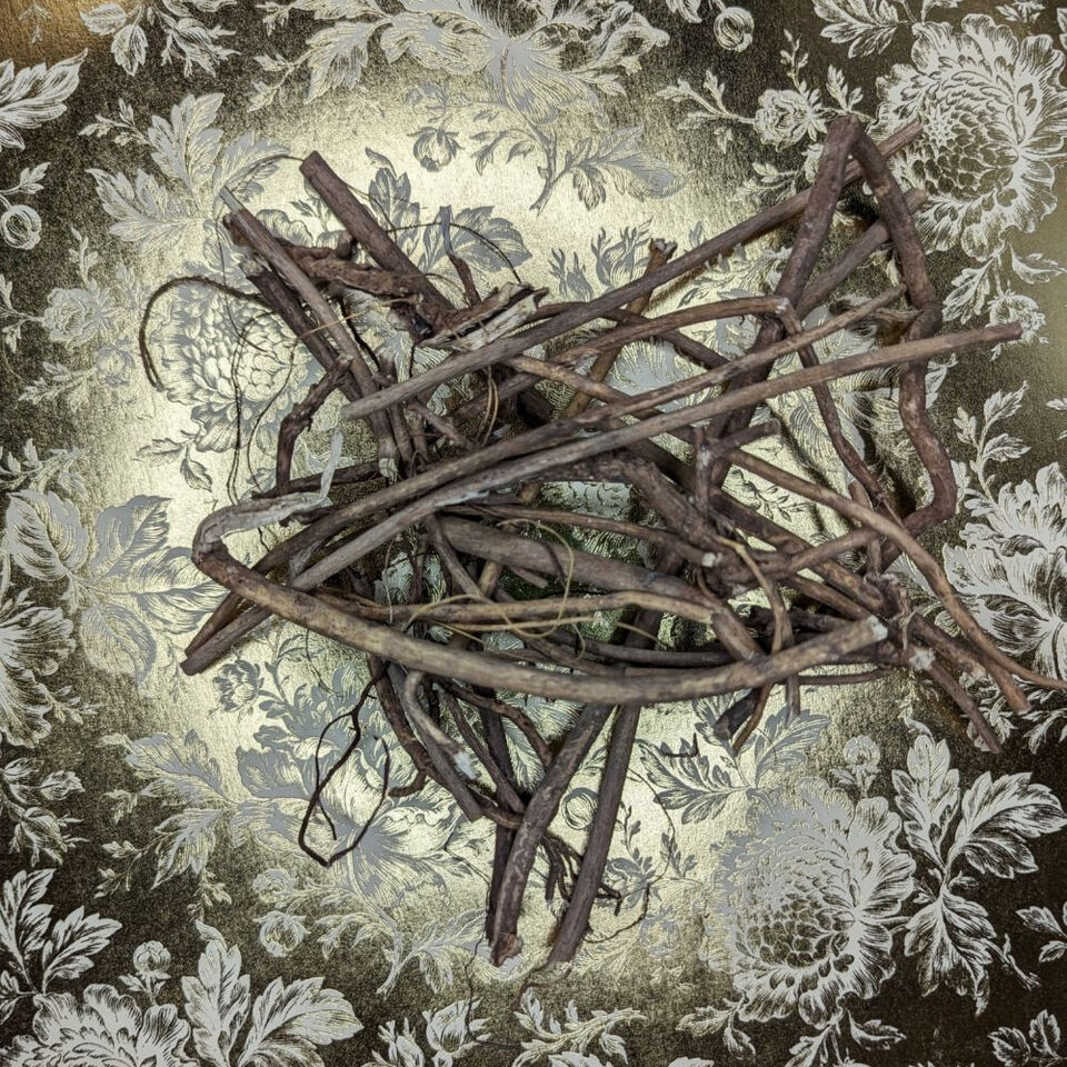 1 Lb Devils Shoestring: poderosos beneficios
