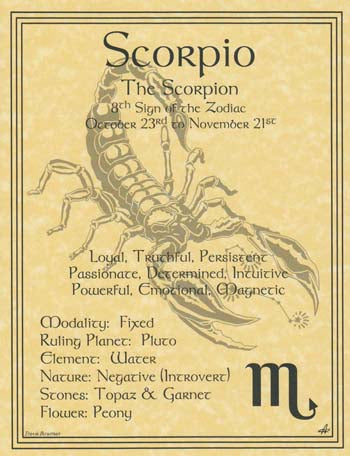 Scorpio Zodiac Parchment Print 8 1/2" x 11"
