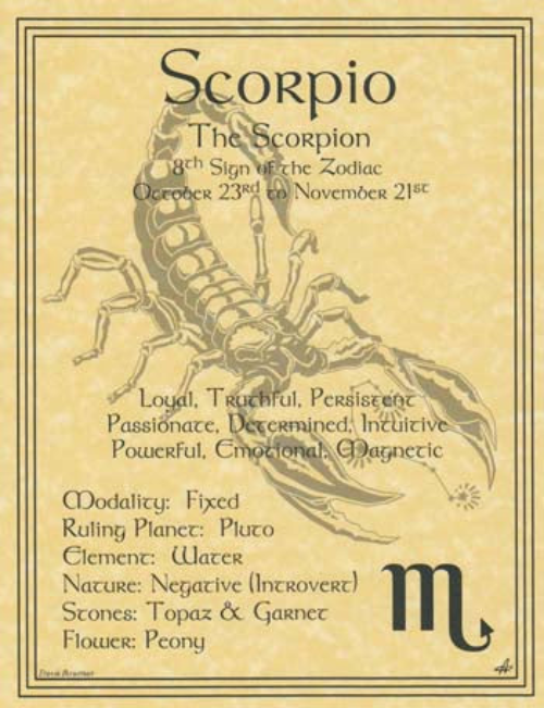 Scorpio Zodiac Parchment Print 8 1/2" x 11"