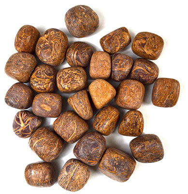 Ancient Script Jasper- Arabic Tumbled Stones - 1lb.