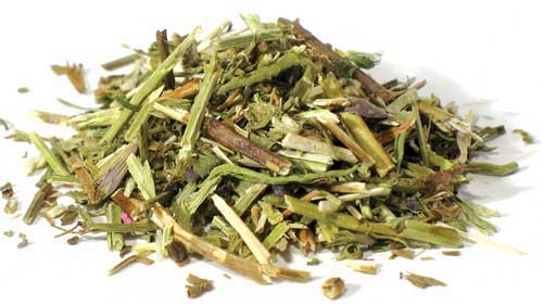 Hyssop Cut (Hyssopus officinalis)- "Holy Herb"-1 LB.