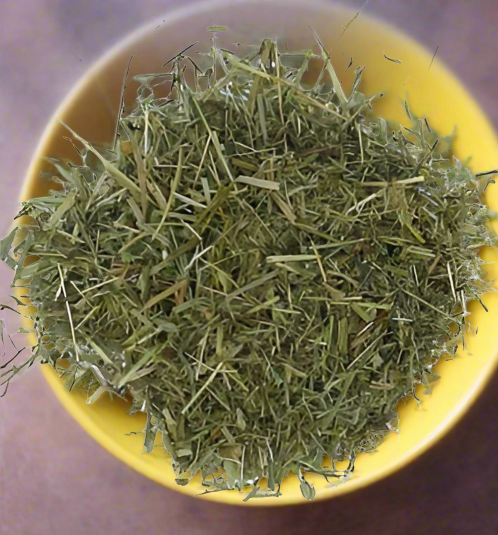 1 Lb Shavegrass cut wild crafted (horsetail)