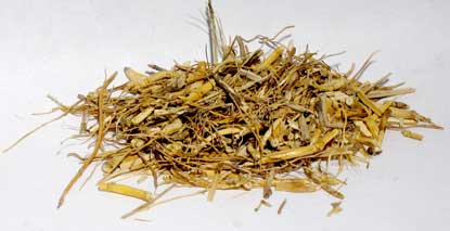 1 Lb Dried Witches Grass Cut (Agropryon repens)