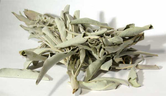 Dried White Sage-Whole Leaf- 2oz