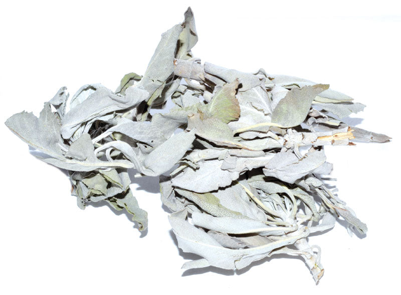 Dried White Sage-Whole Leaf- 2oz