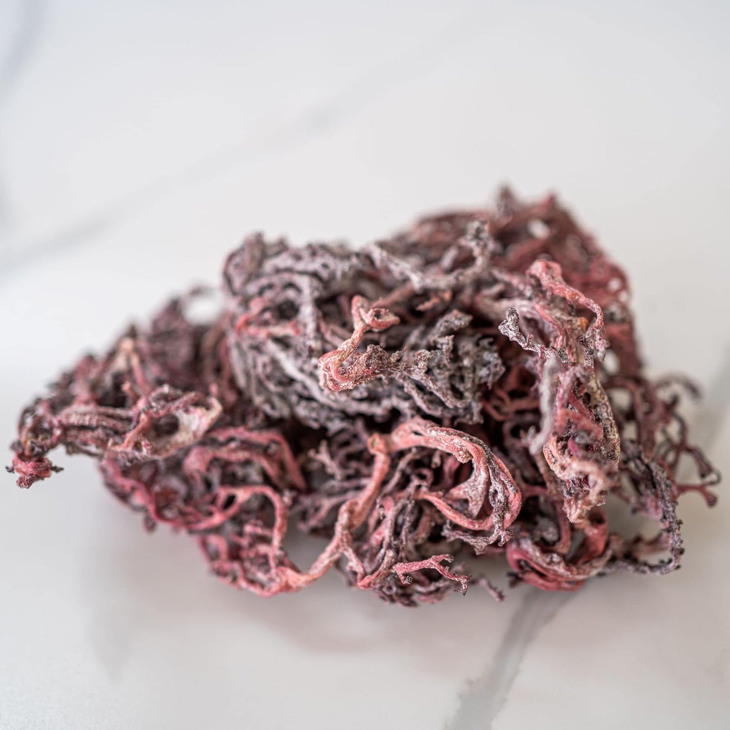 1 lb Irish Moss Cut- Wild Crafted