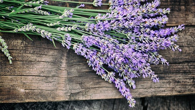 Barra para difuminar salvia blanca y lavanda, 4"