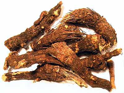Osha Root-Whole Root- 2oz