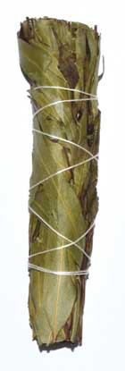 4" Eucalyptus Citridora Smudge Stick -Smudge Wand