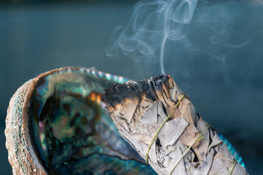 White Sage smudge stick 3"- 3PK