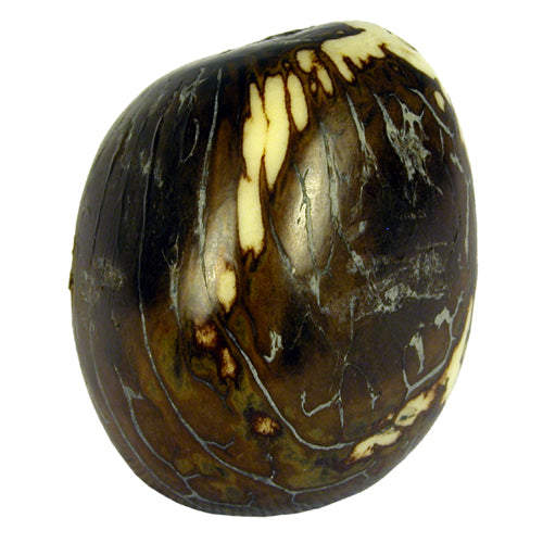 <center>Back Side of Tagua Nut Nativity<center>