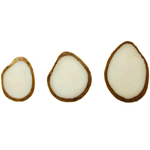 5PC-Natural White Tagua Nut Slices-6mm Thick- Jewelry Making- Carving-Vegetable Ivory